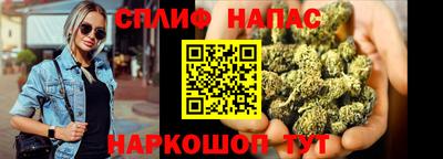 стафф Краснознаменск