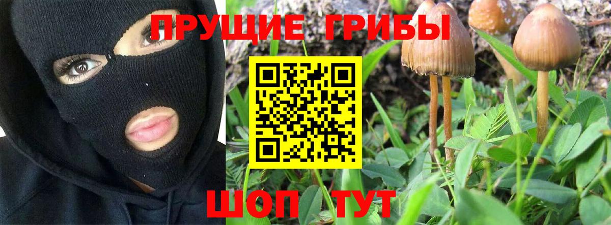 Псилоцибиновые грибы мухоморы  Галлюциногенные грибы MAGIC MUSHROOMS  как найти закладки  Корсаков  Вход с VPN 